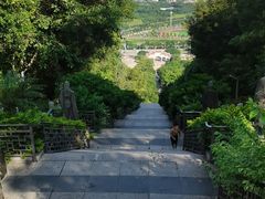 -青礁慈济宫