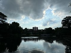 -顺峰山公园
