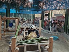 -栾川竹海野生动物园