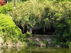 -南京古林公园