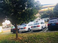 场馆-福建省奥林匹克体育中心-体育馆