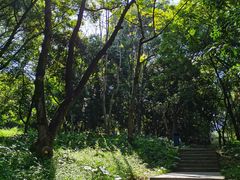 -天河儿童公园