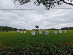 -嘉北郊野公园
