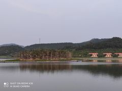-美的鹭湖森林度假区