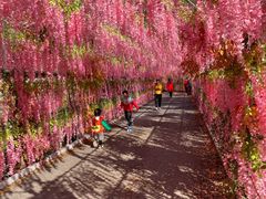 -参仙谷生态旅游度假区