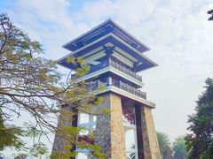-大湾区中央湿地公园