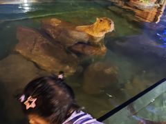 -郑州银基黄帝宫御温泉