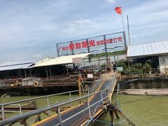 -大湾区中央湿地公园-十九涌