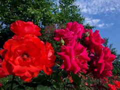 -西安汉城湖景区