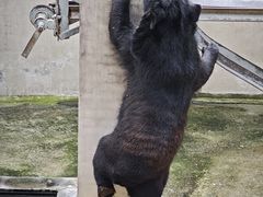 -保定市动物园