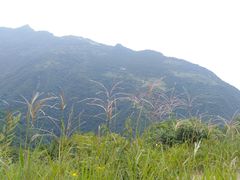 -黑河国家森林公园
