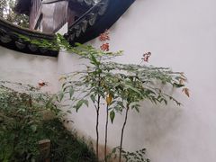 -汇龙潭