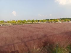 -嘉北郊野公园