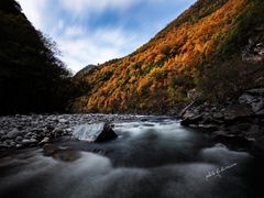 -黑河国家森林公园