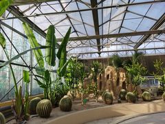 -南宫五洲植物乐园