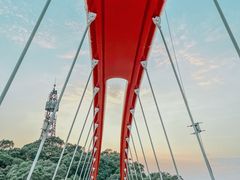 -金鸡山公园