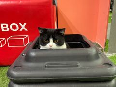 -SAH健身私教工作室(紫东店)