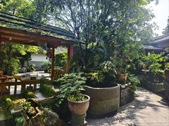 -青城甲(青城山店)