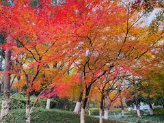 -杭州城北体育公园