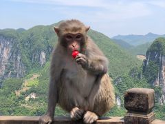 -重庆云阳龙缸景区