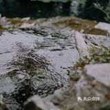 贵阳版苏州园林