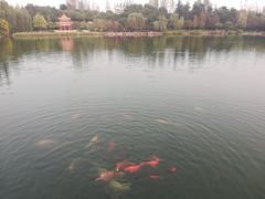 -西南政法大学(渝北校区)