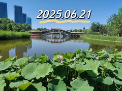 -西海子公园