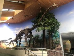 -延庆地质公园博物馆