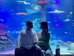 -沈阳海洋探索中心