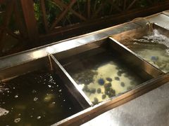 -渔家火锅·海鲜自助餐·演艺(亚龙湾天域酒店)