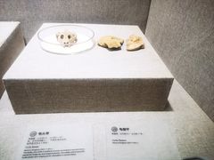 -南越王博物院(王宫展区)