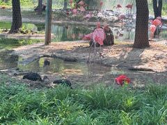 -石家庄市动物园