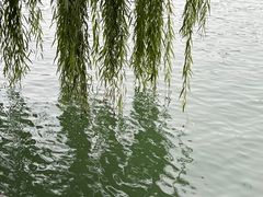 -济南大明湖景区