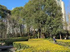 -苏州河梦清园环保主题公园