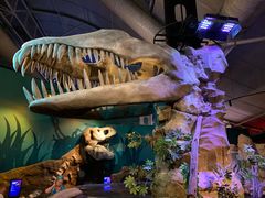 -悉尼海洋生物水族馆