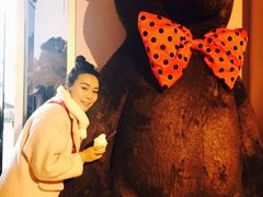 -济州岛泰迪熊博物馆