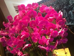 -黔蘑菇四季餐厅(观山湖店)