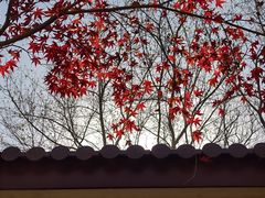 -虞山风景区