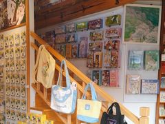 -猫的天空之城概念书店(丽江古城饮玉巷店)