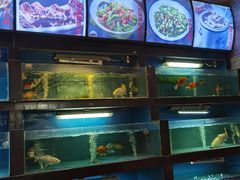 水产区-大鸽饭(马王堆店)