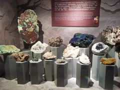 -正佳自然科学博物馆