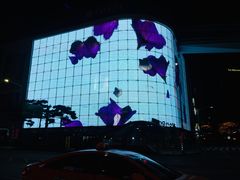 -新世界百货(明洞总店)