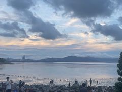 -深圳湾公园(南山区)