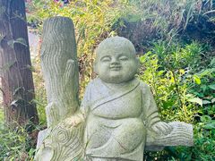 -横岗山森林公园