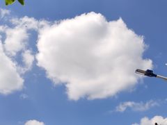 -桃源山庄·水蜜桃采摘·柴火鸡·烧烤团建(龙泉山店)