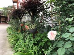 -凤来栖·净庭院·火锅(欧尚店)