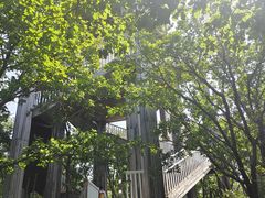 -帽儿山国家森林公园