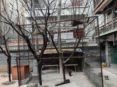 -罔极寺