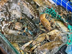 -星记小馆·小蓝龙·老南京砂锅菜(上海路店)