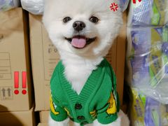 -熊小胖宠物生活馆(天华园店)